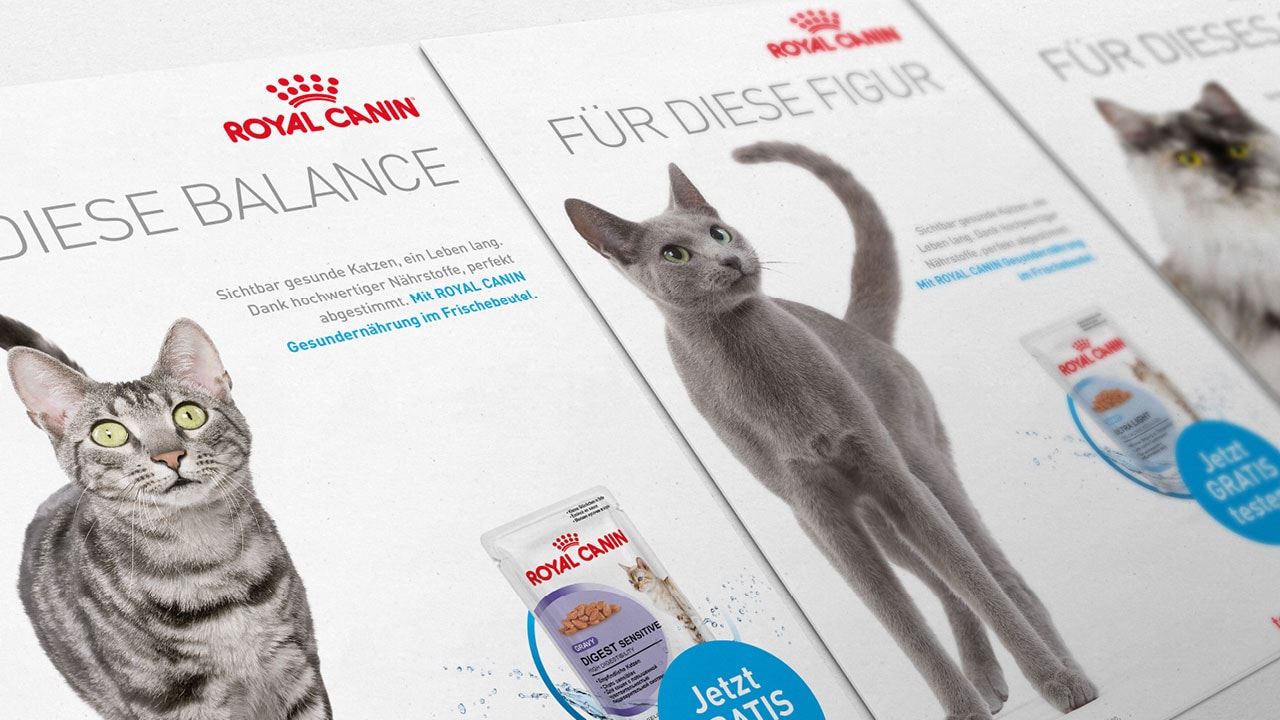 Für diese Kraft! POWER für Royal Canin